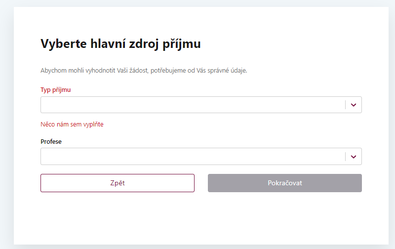 Žádost o půjčku – Zdroje příjmů